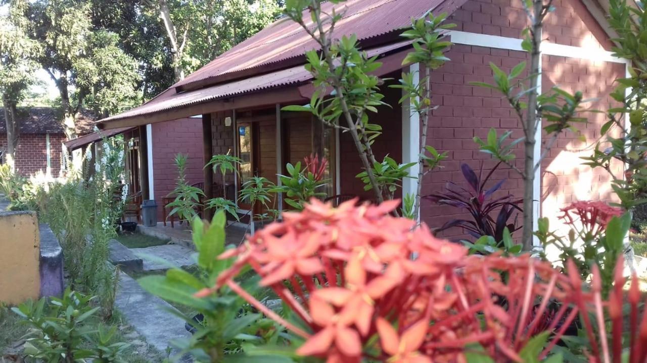 New Cottage Asri Karimunjawa Exterior photo